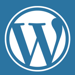 Wordpress websites - the importance of updates